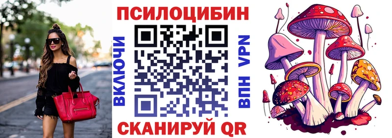 продажа наркотиков  Спасск  Псилоцибиновые грибы мухоморы 